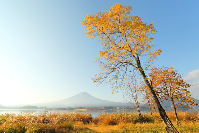 The clear autumn sky