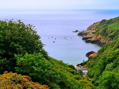 Guernsey_2022-048- Wednesday 20th July - Path to Moulin Huet - looking down to Saints Bay