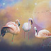 Bejeweled Flamingos :purple_heart: