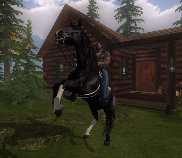 Introducing my quarter horse Darkshadow