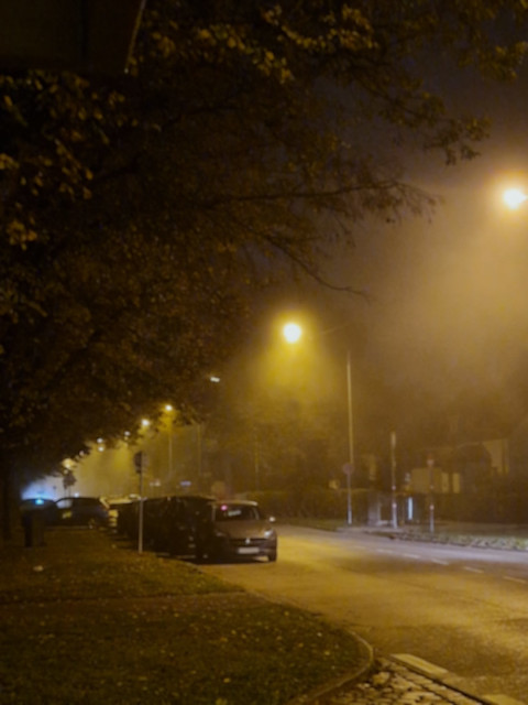 lights in fog