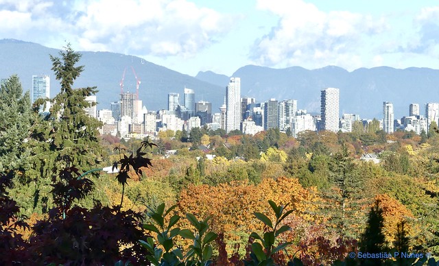 Vancouver - A Skyline view with the Autumn colors, Canada