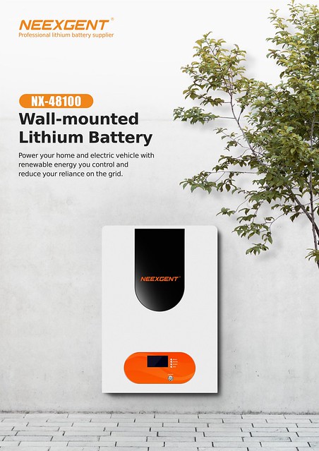 Wall - Mounted Lithium Battery