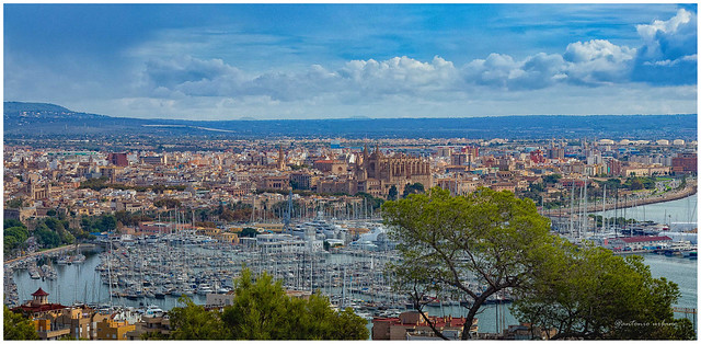 Palma de Mallorca desde Bellver // Palma de Mallorca from Bellver Castle