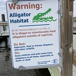 Gator Warning 