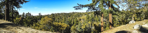sanbernardinonationalforest california photo digital autumn fall outdoors lanscape forest panorama conifers