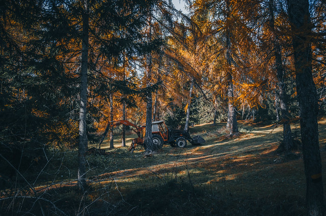 Tractor in the Autumn Forest