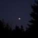 Lunar Eclipse, November 8, 2022