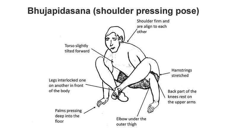 Bhujapidasana (shoulder pressing pose)