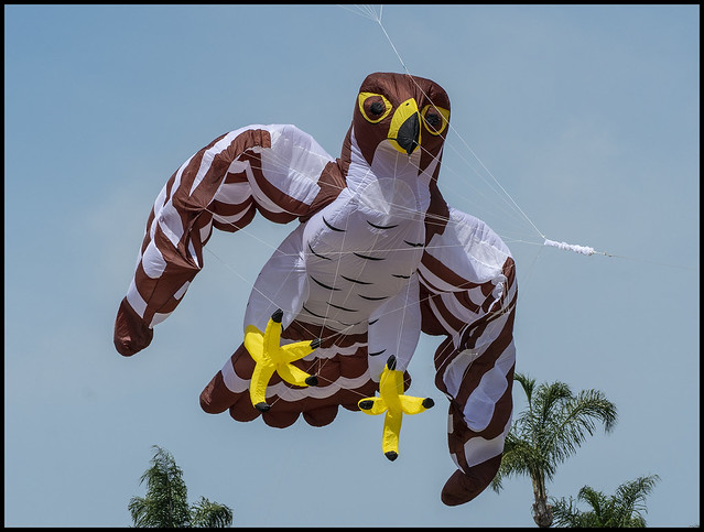 The Eagle is landing Pelican Park Clontarf-2=