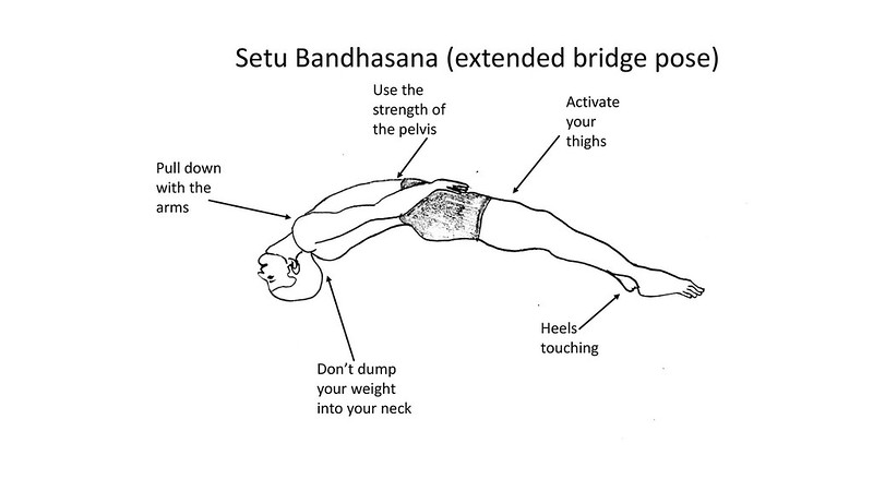 Setu Bandhasana (extended bridge pose)