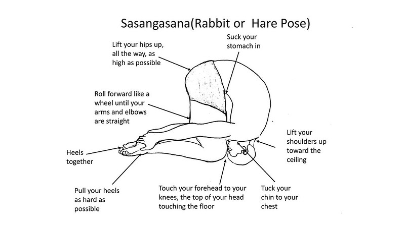 Sasangasana(Rabbit or  Hare Pose)