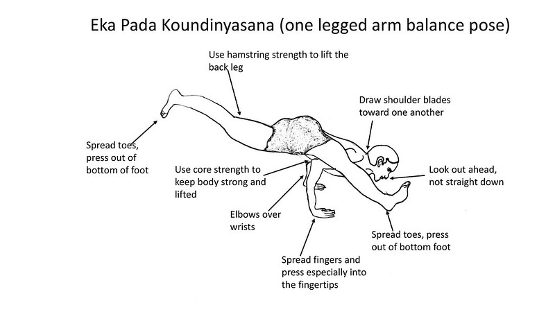 Eka Pada Koundinyasana (one legged arm balance pose