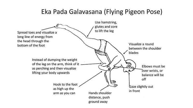 Eka Pada Galavasana (Flying Pigeon Pose)