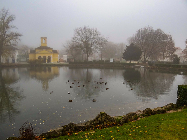 A foggy morning in the park.