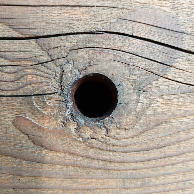 Hole in the wood