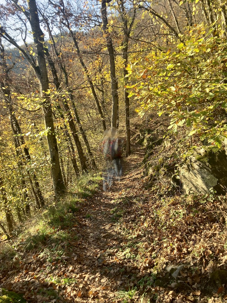 Unterwegs im Herbstwald | Jörg Kaspari | Flickr