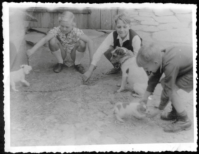 ArchivTappen30(1A)753 Junge Hunde, Tierfreunde, Deutschland, 1930er