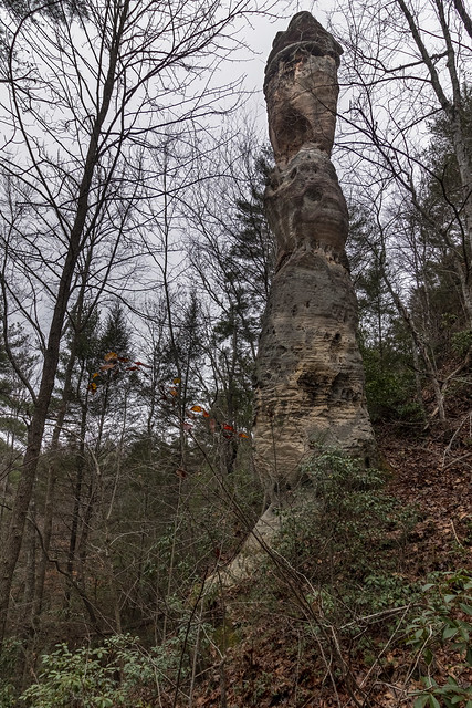 Cap Rock Pillar & Arch, Big South Fork NRRA, Scott County, Tennessee