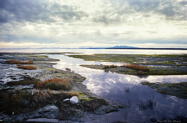 Low Tide