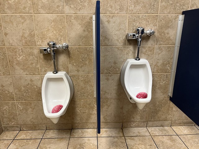 ProFlo urinal