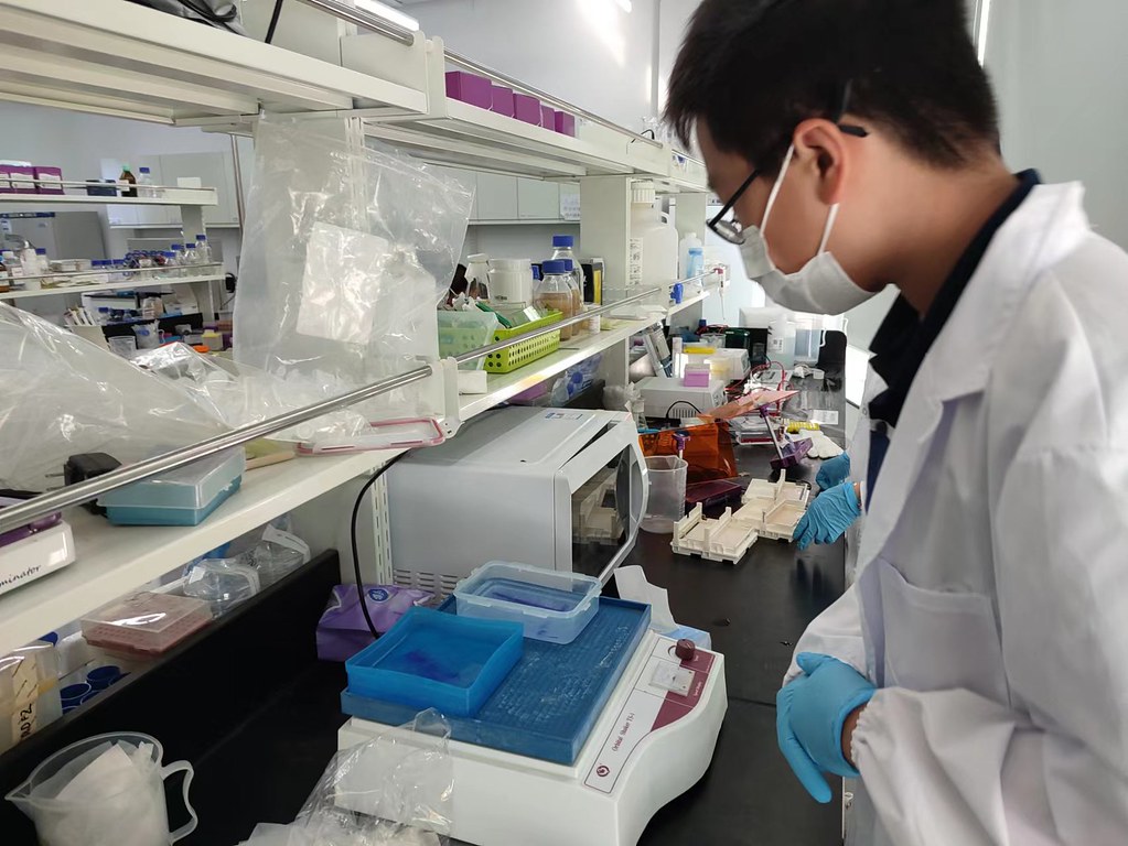 i-GEM Competition Lab 7 | Charley Zhang | Flickr