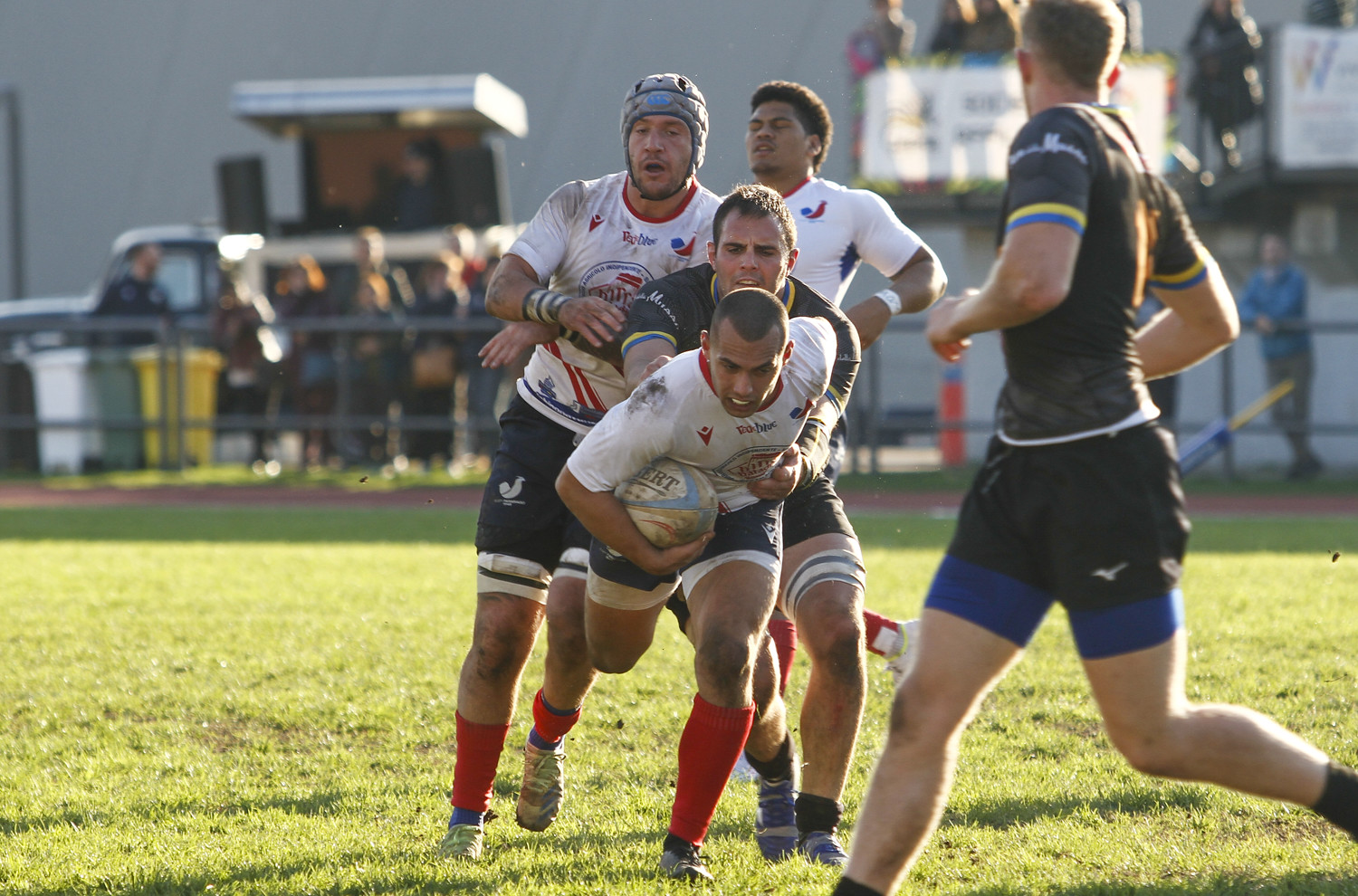 Rimoldi - 3271-rugby web-42