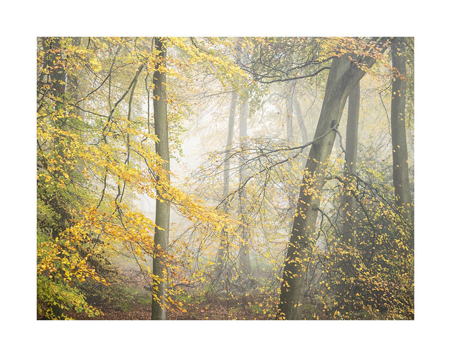 Autumn in the Chilterns