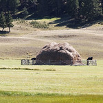 2014 Montana 09-02060 Haystack created by a beaver slide along US12 west of Helena, MT