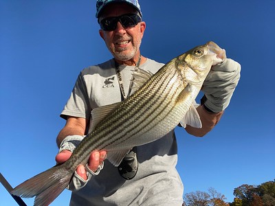 Photo of a man holding a large striped bass