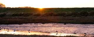 Sunset @ Thornham Creek Norfolk (river hun)
