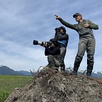 CordovaBirdWatch-Chugach-DC-002 Nick Docken, Eden McCall, and Anne Farbman, photographing and pointing at a mother goose and several goslings on a nest island. Cordova Ranger District, Chugach National Forest. USDA Forest Service photo by Dylan Charnon.