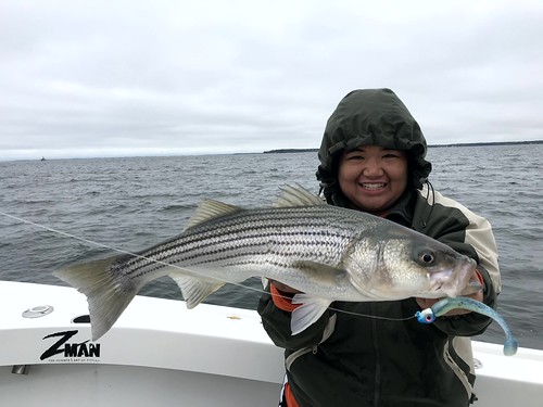 Photo of woman on a boat holding a large striped bass