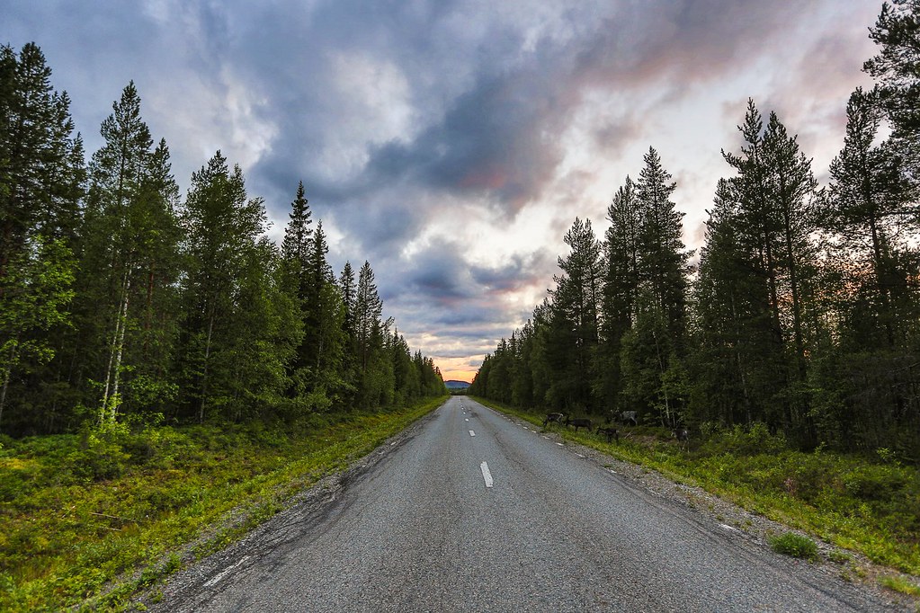 Carretera-al-infinito-en-llamas-en-Laponia-Sueca