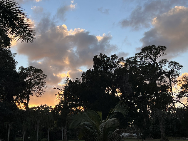 A January Sarasota Sunset