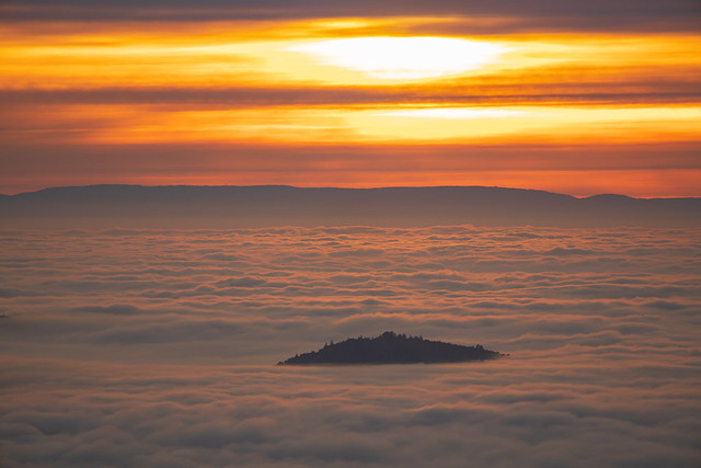 A mountain peak rises out of the sea of fog in the Black Forest like a whale's hump out of the ocean