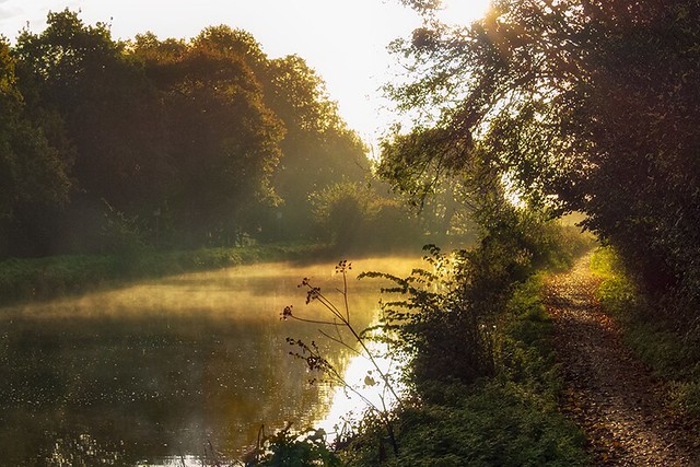 Exeter Canal on an Autumn Morning