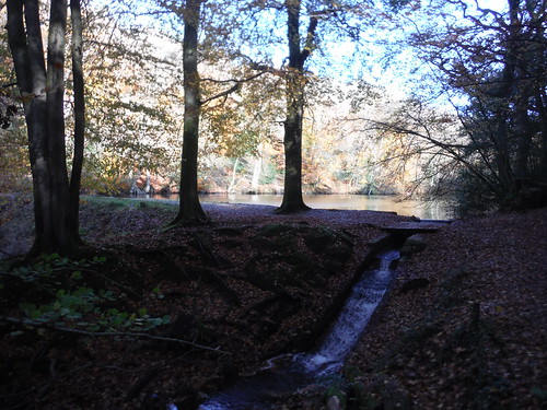 Cooper's Stream/Waggoner's Wells Ponds SWC 377 - Haslemere Outer Orbital Path