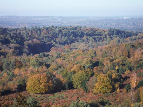 View from Devil's Punch Bowl towards Farnham SWC 377 - Haslemere Outer Orbital Path
