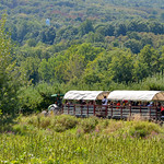 Fishkill Farms Hayride It was really a shuttle service around the farm.