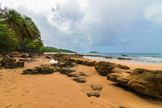 Beach Guadeloupe