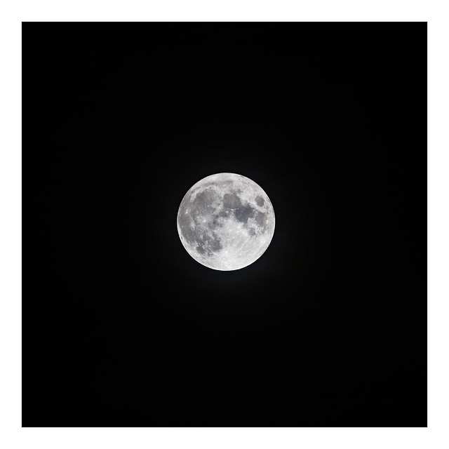 _8522962_full moon
