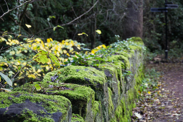 A moss covered bridge wall IMG_0515