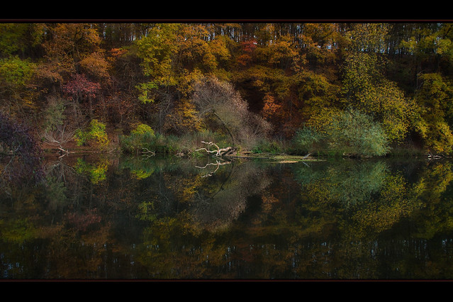 Herbstliche Spiegelung - Atumnal reflection.