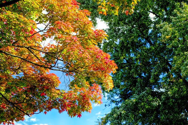 Autumn colors in Pennsylvania