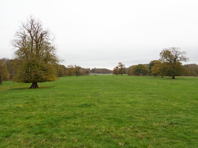 Southhill Park view 2