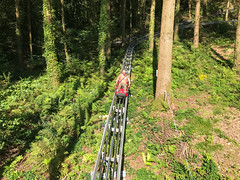 Photo 7 of 13 in the Zip World Fforest (26th Aug 2017) gallery