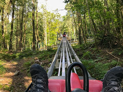 Photo 10 of 13 in the Zip World Fforest (26th Aug 2017) gallery