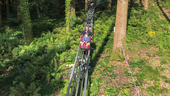 Photo 12 of 13 in the Zip World Fforest (26th Aug 2017) gallery