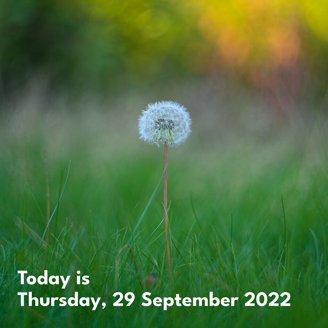 Today is Thursday, 29 September 2022